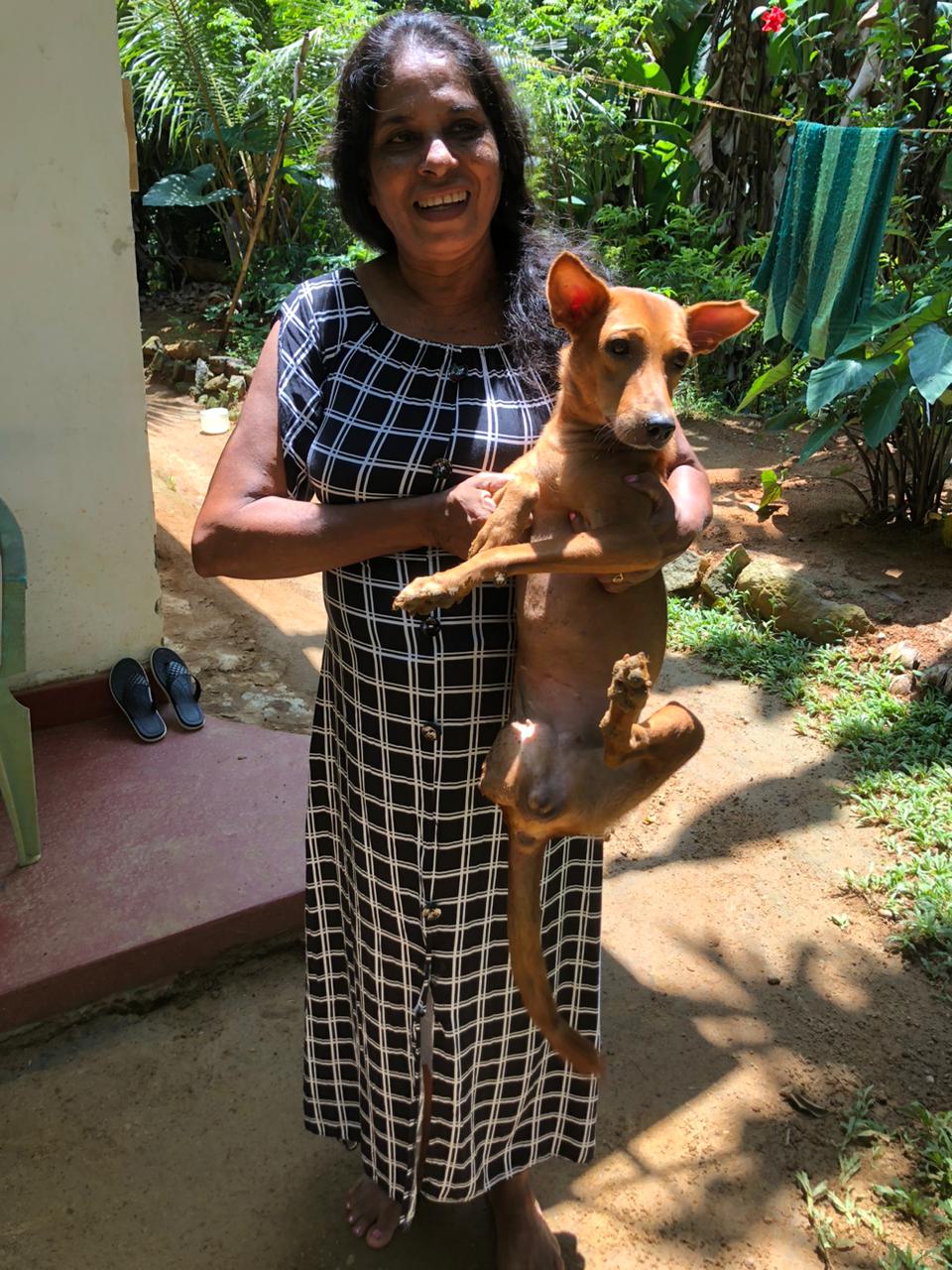 A rescued dog welcomed into a loving home