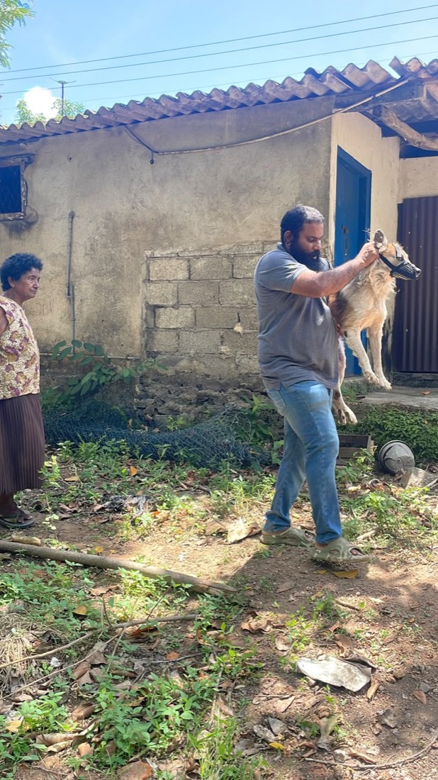 An Embark volunteer carrying a rescued community dog to safety